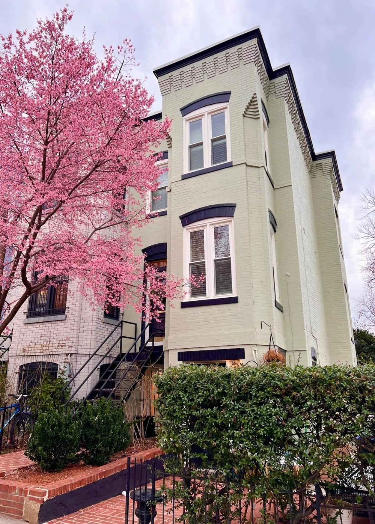 Cherry Blossom Charm Ferienhaus
